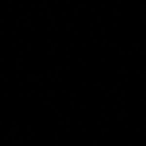 Meet your Posher, Rose